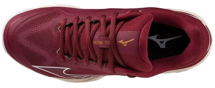 Mizuno Wave Exceed Light CC Cabernet/White/Papyrus teniszcipő termék 2. képe