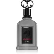 Zimaya Stallion Eau de Parfum uraknak 100 ml akciós termékkép 1