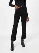 Dorothy Perkins Farmer 'Hattie'  fekete termék 2. képe