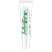 Mario Badescu Mint Lip Balm Ultra tápláló ajakbalzsam 10 g akciós termékkép 1