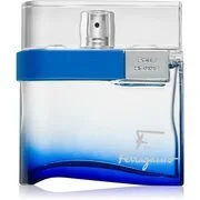 Ferragamo F by Ferragamo Free Time Eau de Toilette uraknak 100 ml akciós termékkép 1
