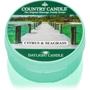 Country Candle Citrus & Seagrass teamécses 42 g akciós termékkép 1