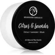 Milkhouse Candle Co. Creamery Citrus & Lavender illatgyertya Sampler Tin 42 g akciós termékkép 1