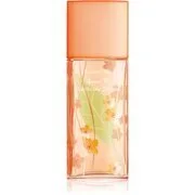 Elizabeth Arden Green Tea Nectarine Blossom Eau de Toilette hölgyeknek 100 ml akciós termékkép 1