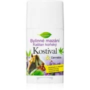 Bione Cosmetics Cannabis Kostival relax masszázs balzsam stift 45 ml akciós termékkép 1