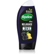 Radox Men Feel Wild tusfürdő gél arcra, testre és hajra uraknak Blackberry & Ginger 225 ml akciós termékkép 1