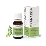 PRANAROM Eucaliptusz radiata illóolaj (10ml) akciós termékkép 1
