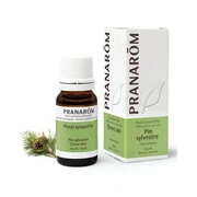 PRANAROM Erdei fenyő - Pinus sylvestris illóolaj (10ml) akciós termékkép 1