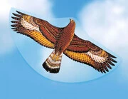 Steinadler sas nylon papírsárkány 122x68 cm-es termék 2. képe