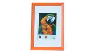 Trendi fotókeret 30x40 FRESH STYLE narancssárga akciós termékkép 1