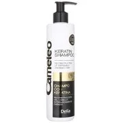 Delia Cosmetics Cameleo BB keratin sampon a károsult hajra 250 ml termék 2. képe