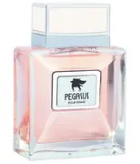 Flavia Pegasus Pour Femme - EDP 100 ml akciós termékkép 1