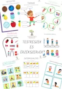 Testrészek és érzékszervek akciós termékkép 1